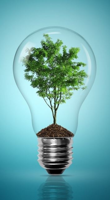 Tree Growing in a Light Bulb